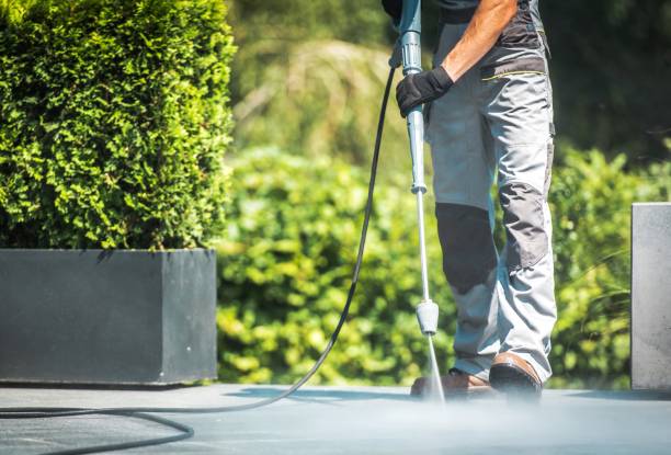 Best Solar Panel Cleaning  in Trenton, GA