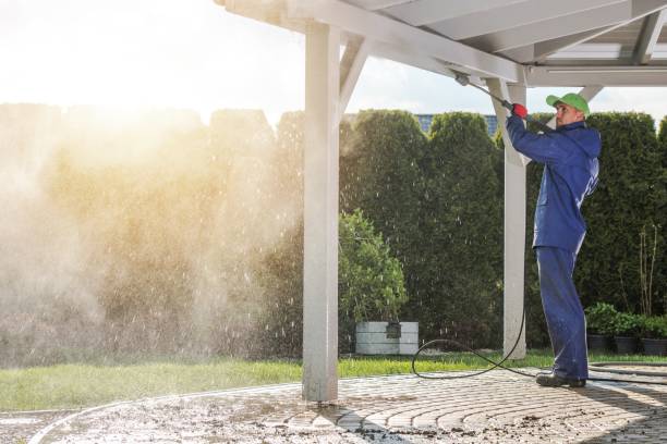 Best Pre-Holiday Cleaning  in Trenton, GA