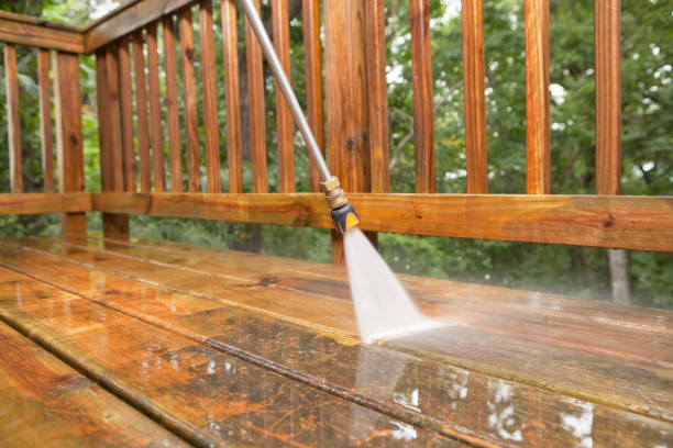 Best Building Exterior Washing  in Trenton, GA